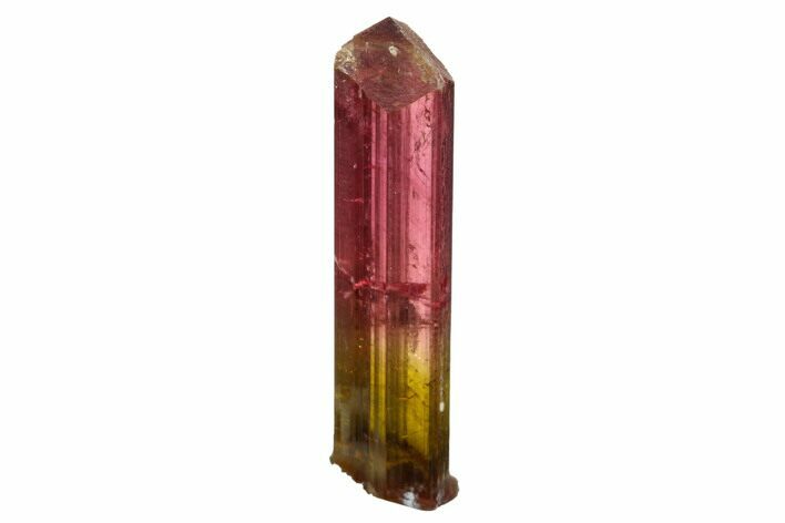 Stunning, Bi-Colored Elbaite Tourmaline - Siberia #175646